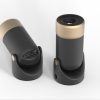 P2 Portable Projector